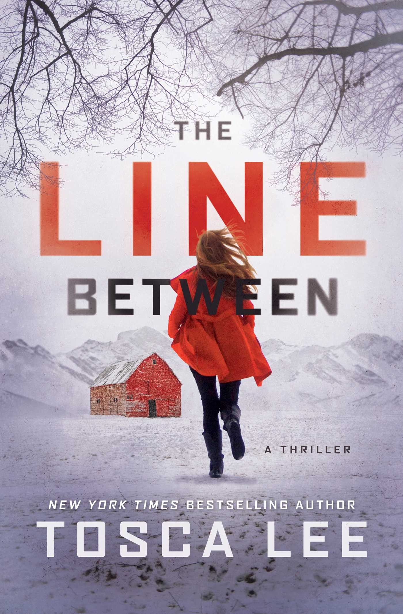 The Cover of the novel The Line Between